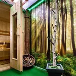 Holzschuhs Schwarzwaldhotel באיירסברון