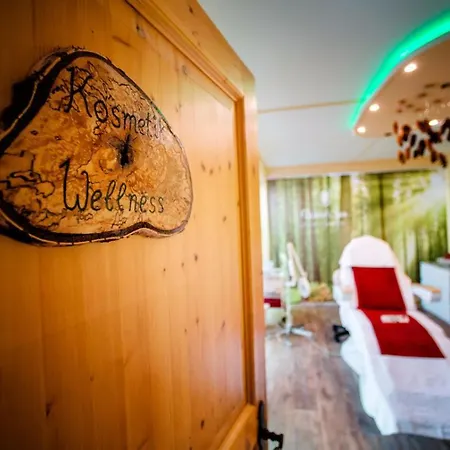 Holzschuhs Schwarzwaldhotel 4* Байрсброн