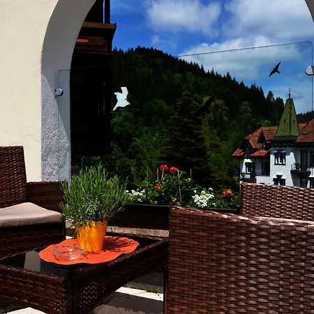 Holzschuhs Schwarzwaldhotel 拜尔斯布龙