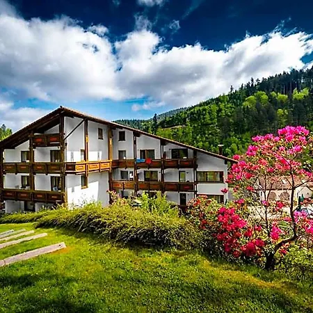 Holzschuhs Schwarzwaldhotel Und Restaurant 4*