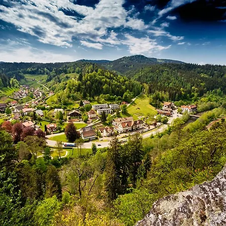 Отель Holzschuhs Schwarzwaldhotel 4*