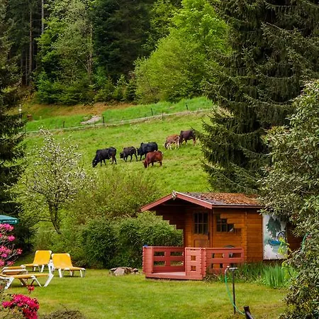 Holzschuhs Schwarzwaldhotel