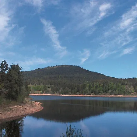 Holzschuhs Schwarzwaldhotel 4*