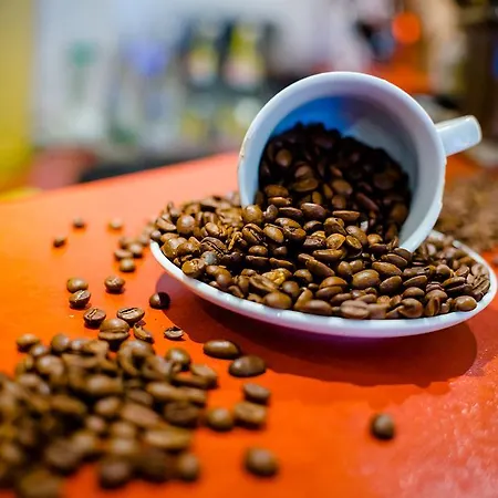 Отель Holzschuhs Schwarzwaldhotel