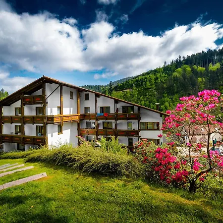 Holzschuhs Schwarzwaldhotel Baiersbronn