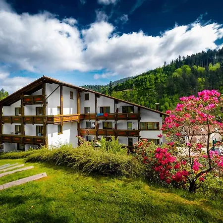 Holzschuhs Schwarzwaldhotel Байрсброн
