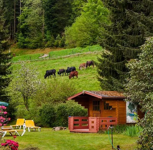 Holzschuhs Schwarzwaldhotel