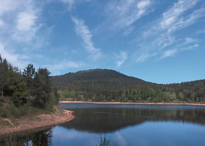 Holzschuhs Schwarzwaldhotel 4*