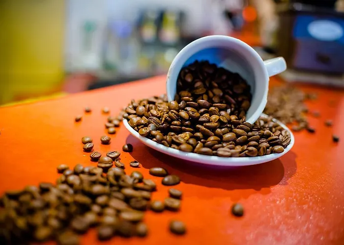 Hotel Holzschuhs Schwarzwaldhotel